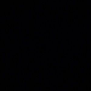 Meet your Posher, Zee